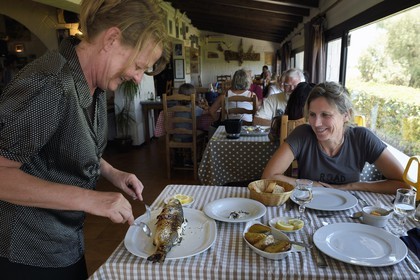 France, Bouches du Rhone, Parc naturel regional de Camargue (Regional Natural Park of Camargue), Mazet du Vaccarès restaurant