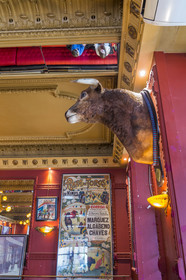France, Gard, Nimes, Grand Café de la Bourse, tête de taureau et affiche