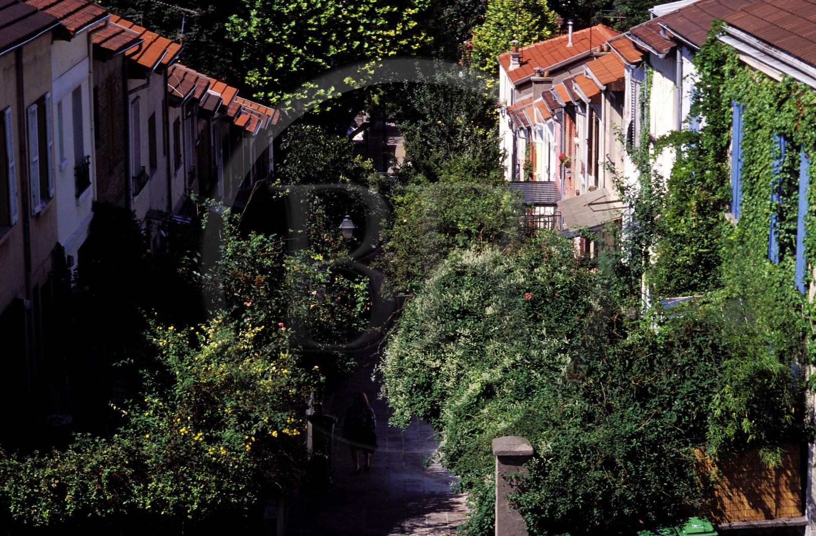 France, Paris (75), La campagne à Paris, maisons avec jardin