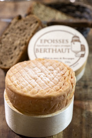 France, Côte-d'Or (21), Epoisses, le château d'Epoisses