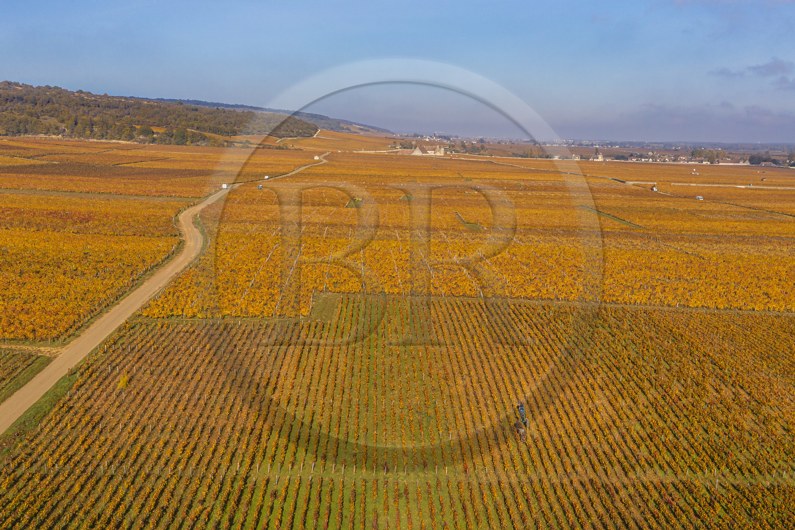 France, Côte-d'Or (21), Paysage culturel des climats de Bourgogne classés Patrimoine Mondial de l'UNESCO, Route des Grands Crus, le vignoble du village de Vosne-Romanée et le chateau du Clos de Vougeot en arrière plan (vue aérienne)