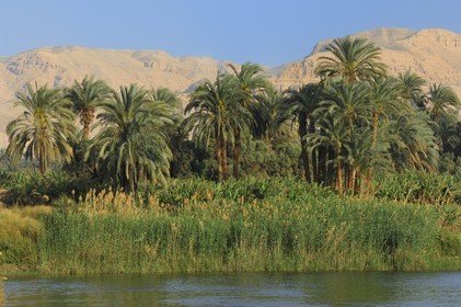 Egypt, Upper Egypt, Nile Valley, the Nile river between Luxor and Esna