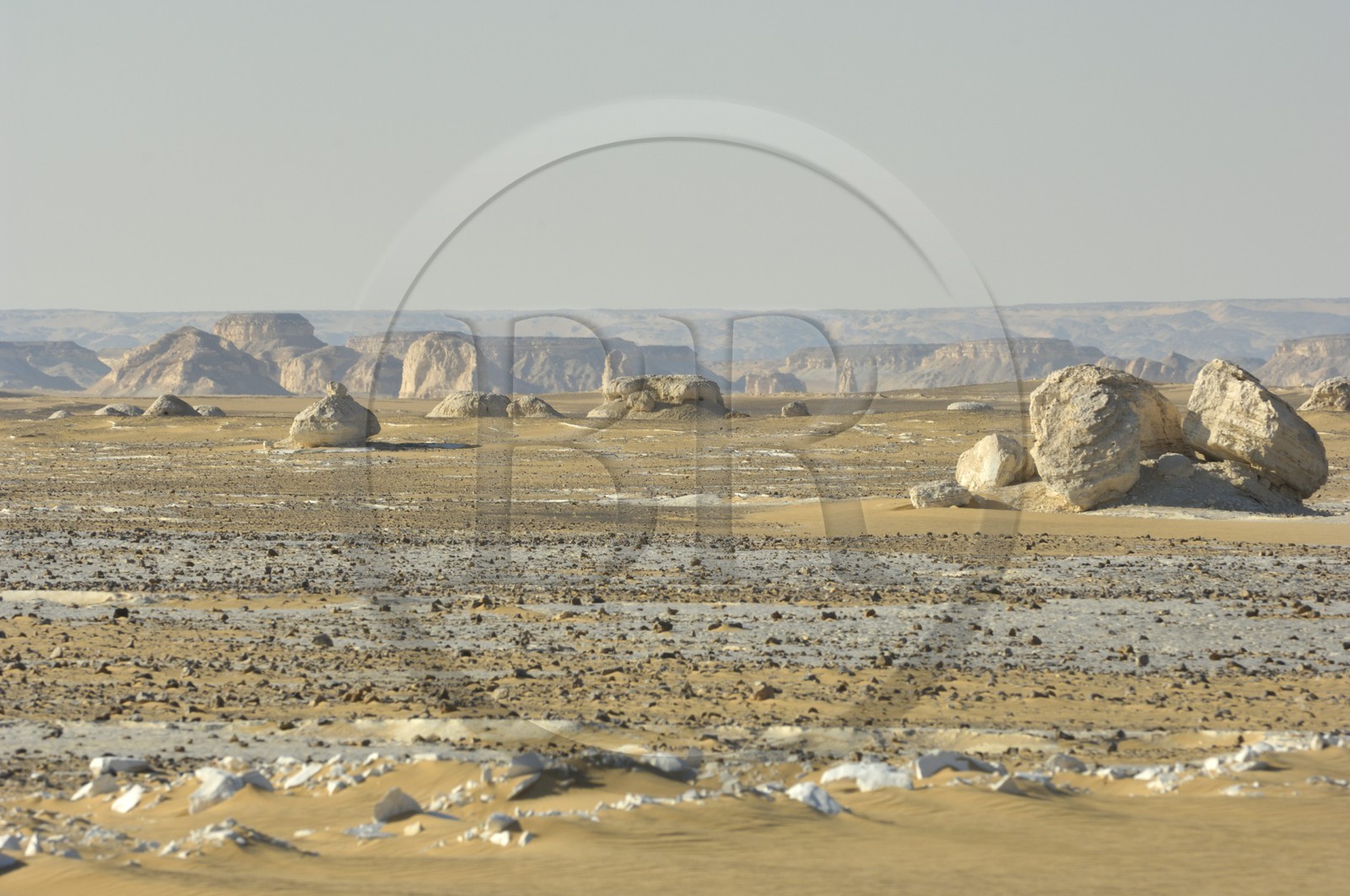 Egypte, désert libyque, le Désert Blanc au nord de Farafra