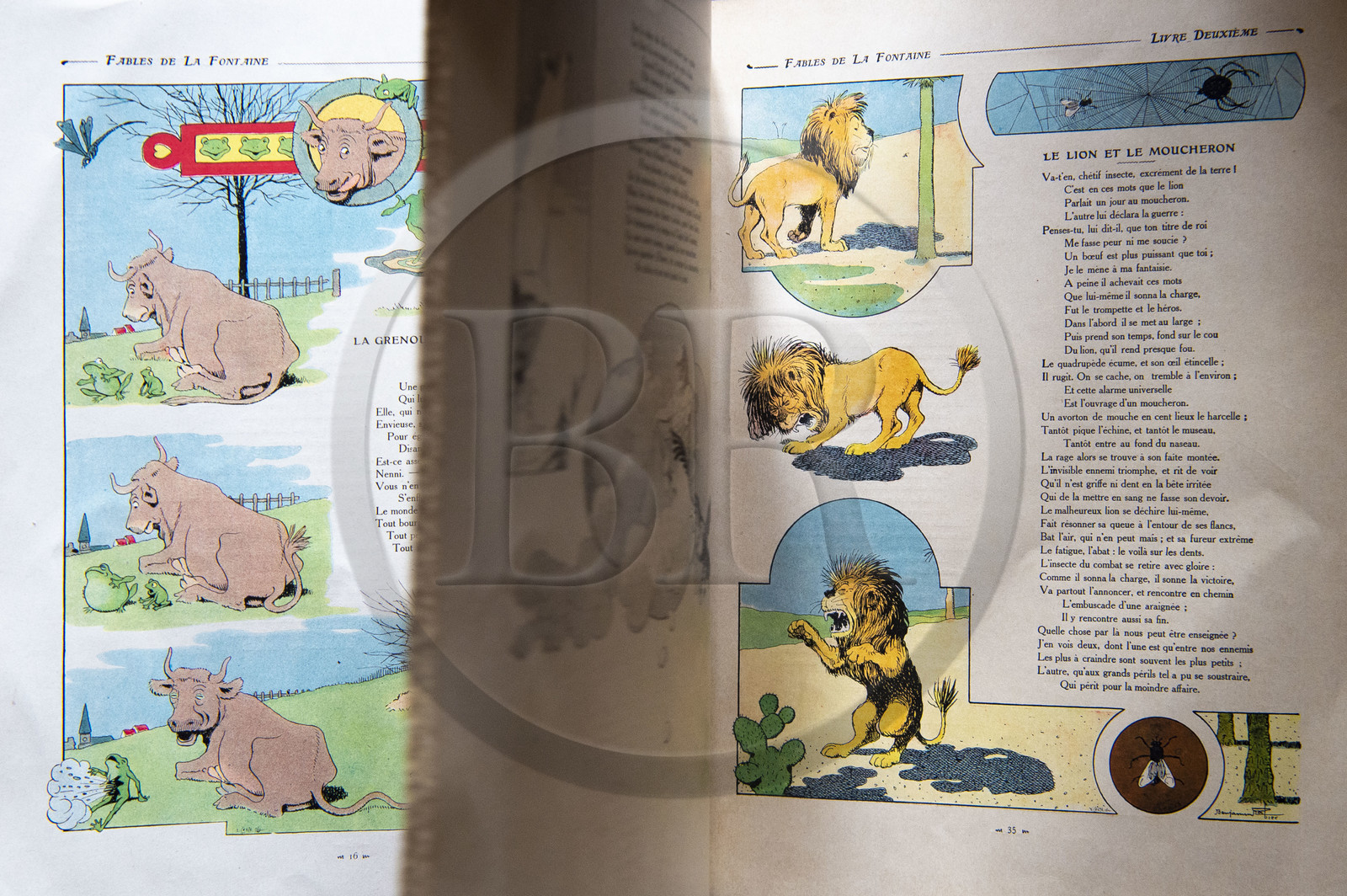 France, Aisne (02), Château-Thierry, Musée Jean de La Fontaine - Ville de Chateau-Thierry, livre des Fables de La Fontaine illustrées par Benjamin Rabier, Edition Jules Tallandier, 1906, in-folio, La Grenouille qui se veut faire aussi grosse que le bœuf fable III du livre I et le Lion et le Moucheron fable IX du livre II