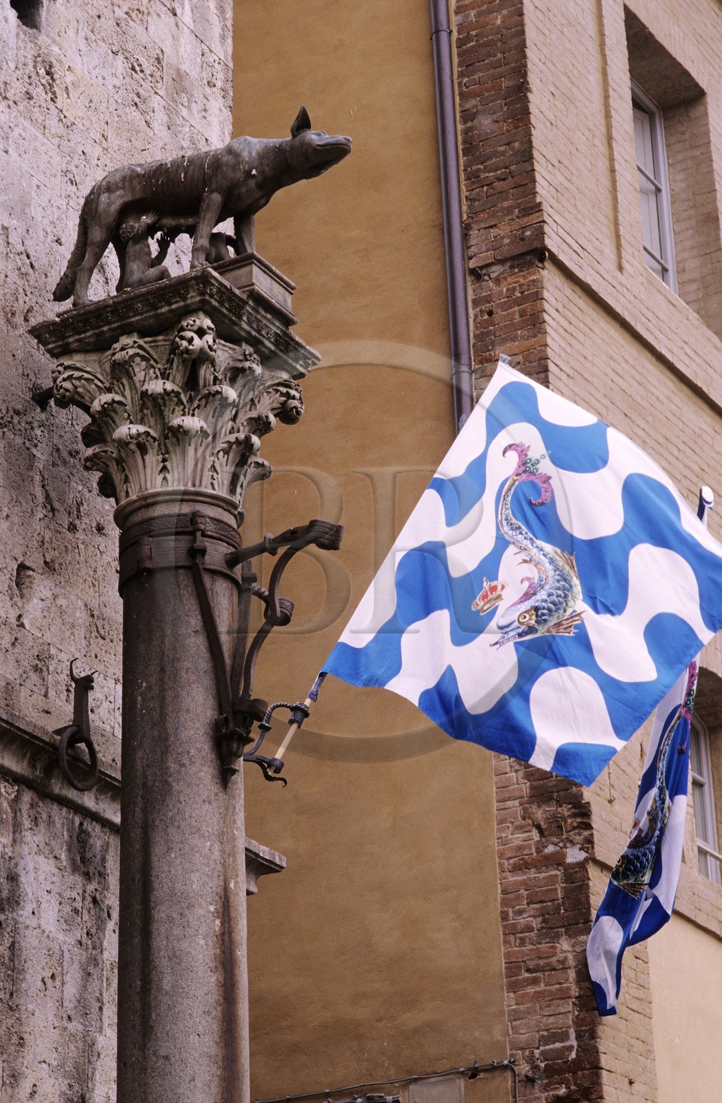 Italie, Toscane, Sienne, Le Palio, drapeau d'une contrade