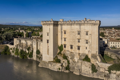 France, Bouches du Rhone, Tarascon, the 15th century castle of King René on the banks of the Rhone river (aerial view)
