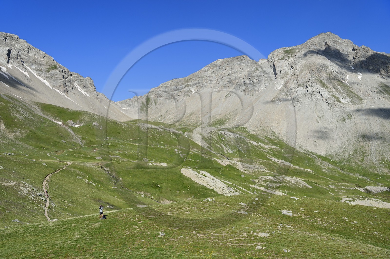 France, Alpes-de-Haute-Provence (04), Uvernet-Fours, parc national du Mercantour, vallée de l'Ubaye, col de la Cayolle (2326 m), sentier de randonnée qui grimpe à travers la pelouse alpine sur le circuit des lacs sous le sommet de la montagne du Trou de l’Aigle France, Alpes-de-Haute-Provence (04), Uvernet-Fours, parc national du Mercantour, vallée de l'Ubaye, col de la Cayolle (2326 m), sentier de randonnée qui grimpe à travers la pelouse alpine sur le circuit des lacs sous le sommet de la montagne du Trou de l’Aigle