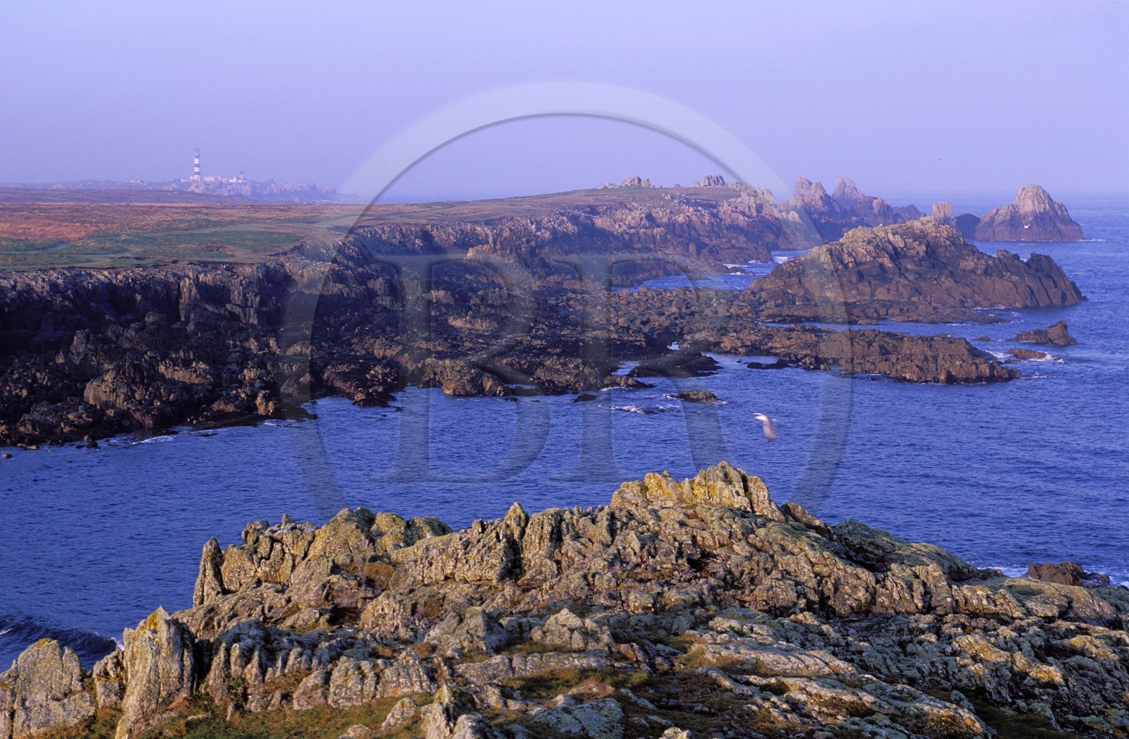 France, Finistère (29), île d'Ouessant, Penn Ar Ru Meur et phare du Créac'h