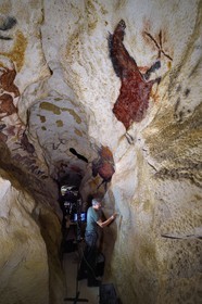 France, Dordogne, Montignac, Montignac-Lascaux Parietal Art international Centre (Lascaux 4) building site, the axial diverticulum of the reconstituted cave by the Atelier des Fac-Similés du Périgord (Perigord's Facsimile Workshop AFSP), finishing of the lower part murals by the painter Gilles Lafleur