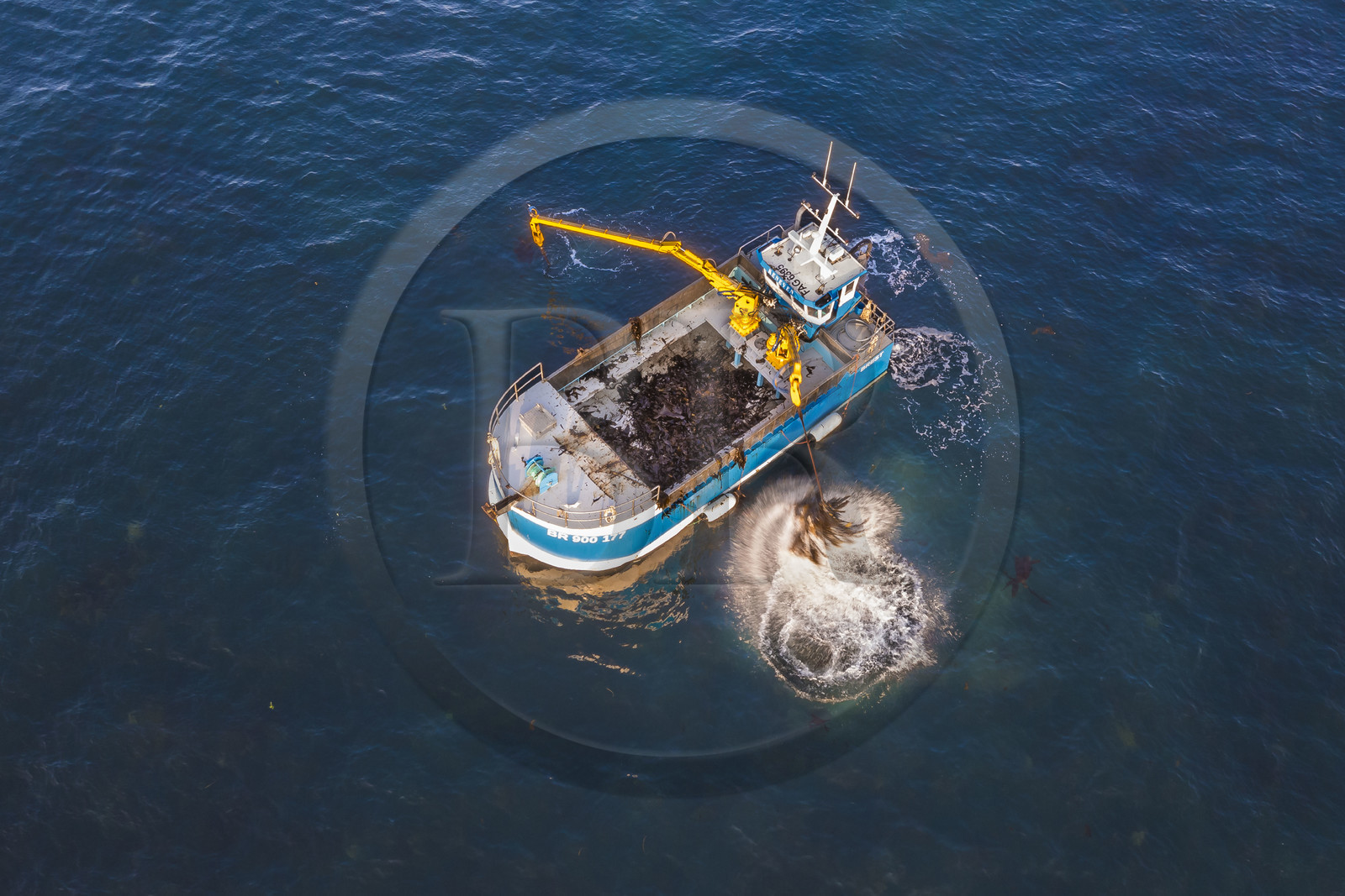 France, Finistère (29), Pays des Abers, Ile Vierge dans l'archipel de Lilia, bateau goémonier utilisant un de ses deux bras mécaniques articulés se terminant par un scoubidou pour récolter des algues marines le goémon (vue aérienne)