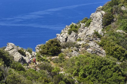 France, Var, Six Fours les Plages, hike in the Cap Sicie massif, hikers on the Roumagnan crest trail