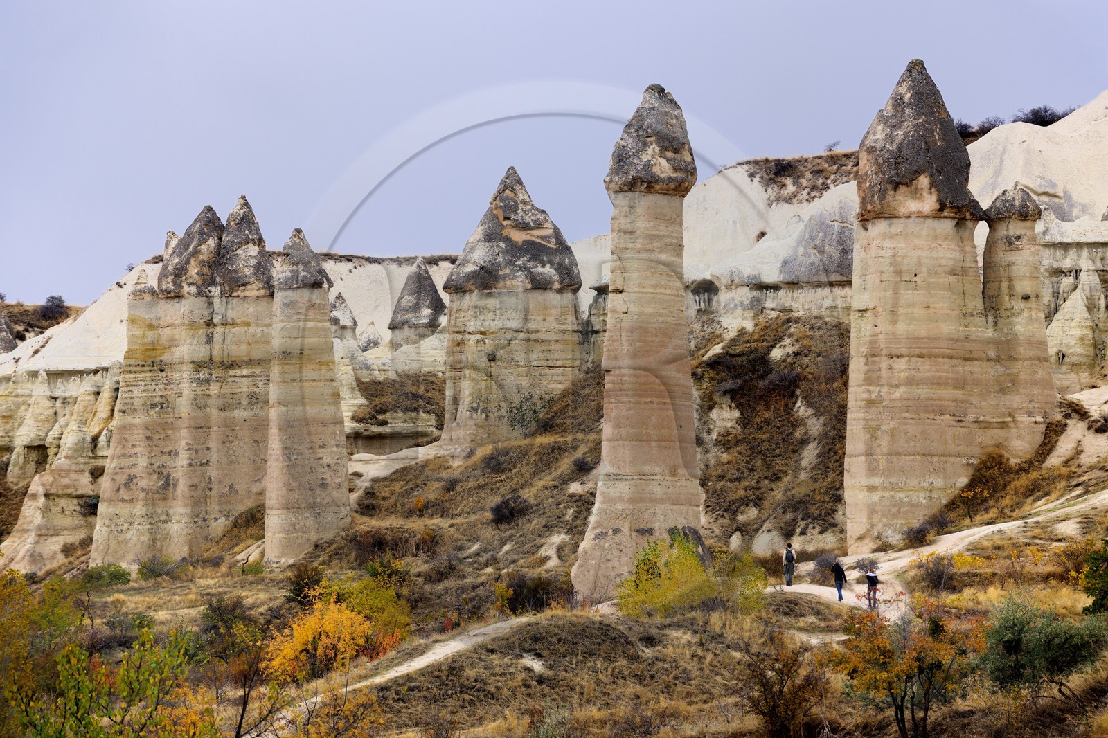 Turquie, Anatolie Centrale, province de Nevsehir, Cappadoce classée Patrimoine Mondial de l'UNESCO, environs d'Uçhisar, vallée de l'Amour, paysage d'érosion et cheminées de fées