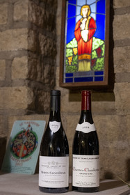 France, Cote d'Or, cultural Landscape of the climates of Burgundy listed as World Heritage by UNESCO, Route des Grands Crus (road of Vintage Wines), vineyard of the Côte de Nuits, Morey Saint Denis, Domaine Amiot et fils, bottles of Morey-Saint-Denis and Charmes-Chambertin Grand Cru