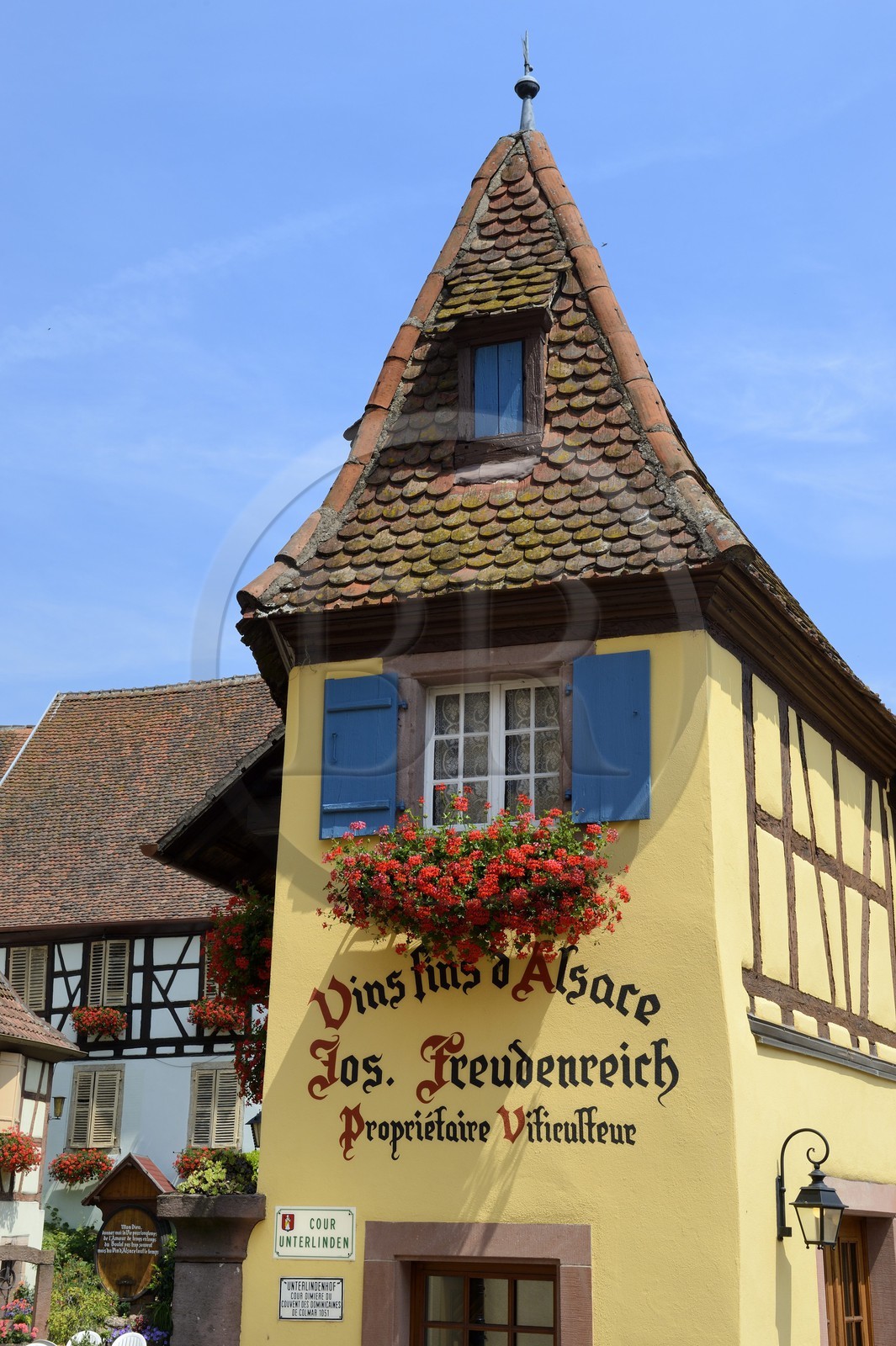 France, Haut-Rhin (68), Eguisheim, labellisé Les Plus Beaux Villages de France, maison du viticulteur Joseph Freudenreich, dégustation et vente de vin