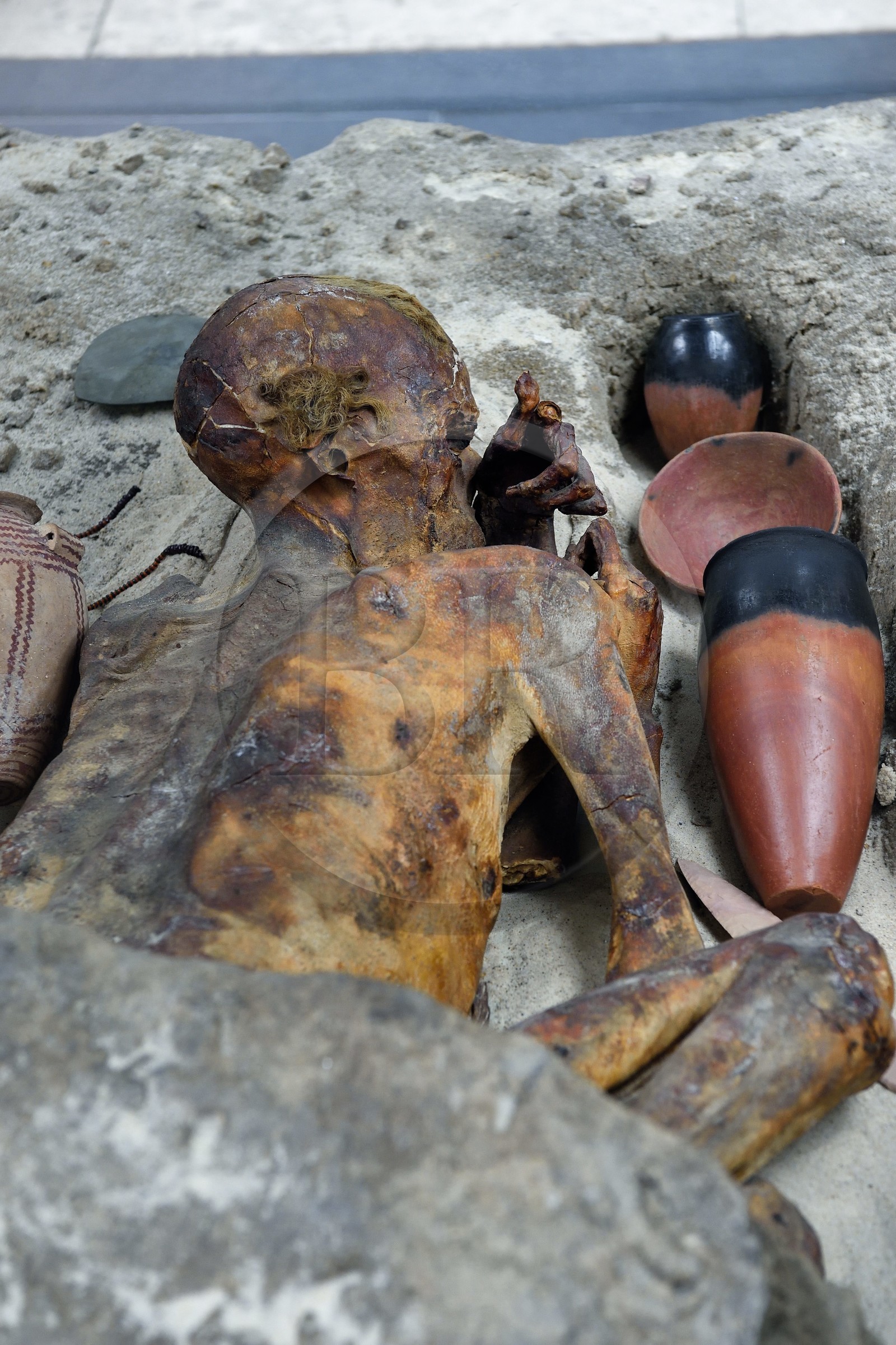 Royaume-Uni, Londres, quartier de Bloomsbury, le British Museum, Egypte ancienne, momie prédynastique de Gebelein, une momie naturelle ensevelie vers 3500 avant JC en Haute-Égypte Royaume-Uni, Londres, quartier de Bloomsbury, le British Museum, Egypte ancienne, momie prédynastique de Gebelein, une momie naturelle ensevelie vers 3500 avant JC en Haute-Égypte