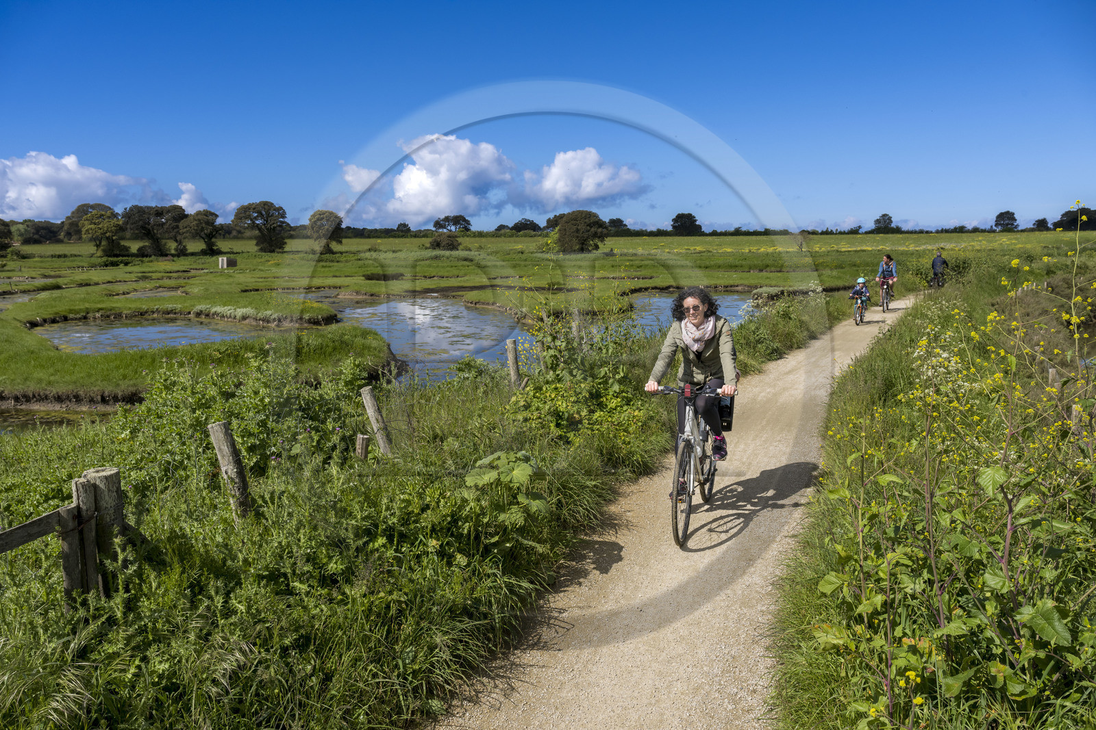 France, Vendée (85), Talmont-Saint-Hilaire, marais de la Guittière dans l'arrière pays de la Pointe du Payré, cycliste sur la piste de la véloroute Vendée Vélo Tour et Vélodyssée au passage du Cul d’Ane, marais aménagés pour la pisciculture de dorades, mulets et anguilles