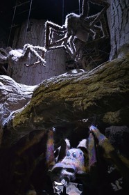 United Kingdom, Hertfordshire, Leavesden, Leavesden Film Studios, Harry Potter Studio Tour London, the scene of the eight Harry Potter movies' making of, the giant Aragog spiders in the mythical Forbidden Forest