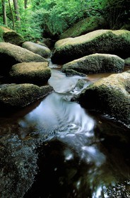 France, Finistère (29), Huelgoat, chaos de rochers, la rivière d'Argent dans la forêt