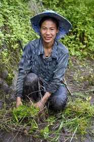 Philippines, Ifugao province, Banaue rice terraces around the village of Cambulo, listed as World Heritage by UNESCO, Daria Faith Winging 32, married with two children, does the clearing of a plot to replant