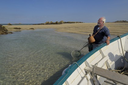 France, Manche (50), archipel des îles Chausey, pêche à pied de bouquets à marée basse