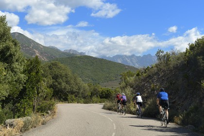 France, Haute Corse, Balagne, cyclists on the road D81 between Galeria and Porto