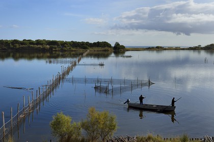France, Haute Corse, the pond of Biguglia (Stagnu di Chiurlinu), nature reserve of Corsica (RNC), fishermen in between nets set on alder stakes