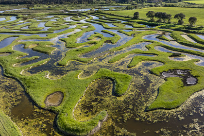 France, Vendée (85), Talmont-Saint-Hilaire, marais de la Guittière dans l'arrière pays de la Pointe du Payré, passage du Cul d’Ane, marais aménagés pour la pisciculture de dorades, mulets et anguilles (vue aérienne)