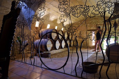 France, Dordogne, purple Perigord, Bergerac, the Maison des Vins de Bergerac in the former Cloitre des Recollets (Recollets cloister)