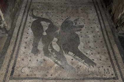 Italy, Campania, Pompei, archeological site listed as World Heritage by UNESCO, house of the Tragic Poet, the mosaic Cave Canem (beware of the dog)