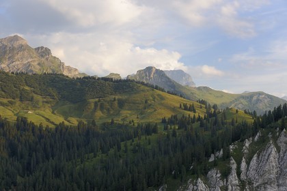 Switzerland, canton of Vaud, Les Diablerets at Col de la Croix