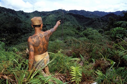 Malaysia, Borneo island, Sarawak, Iban warrior with tattoos (Dayak tribe) showing his hunting field in the primary forest