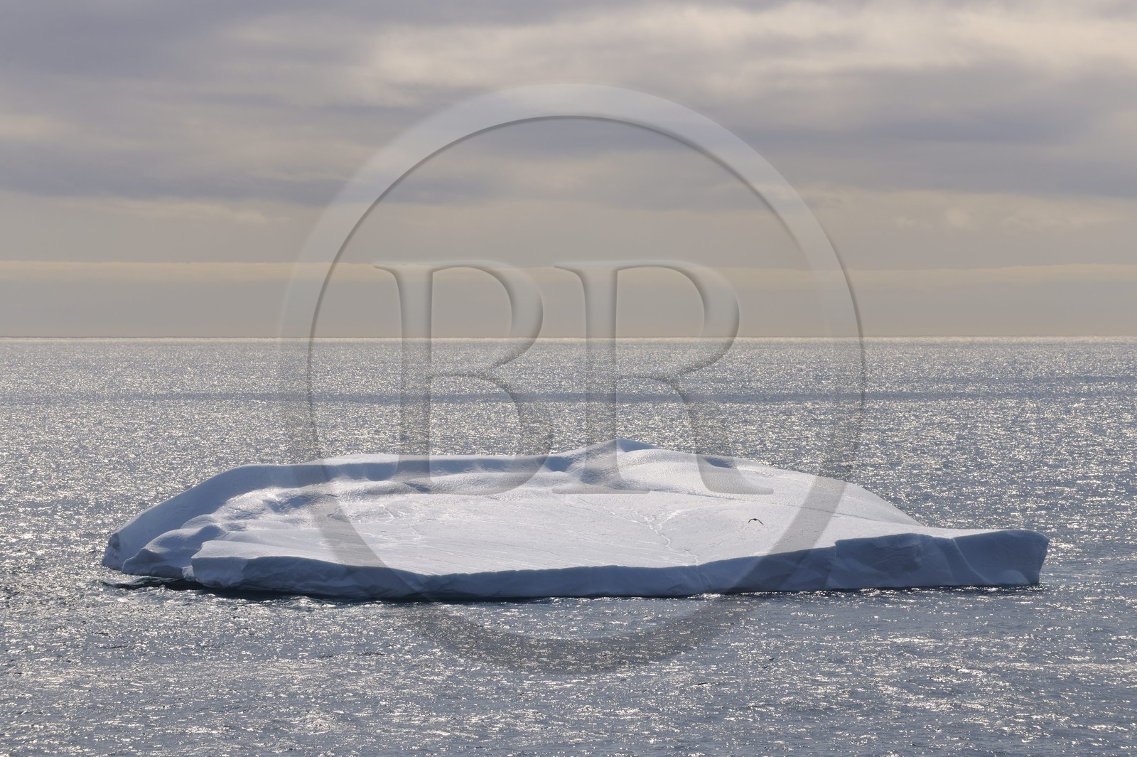 Groenland, région méridionale, iceberg