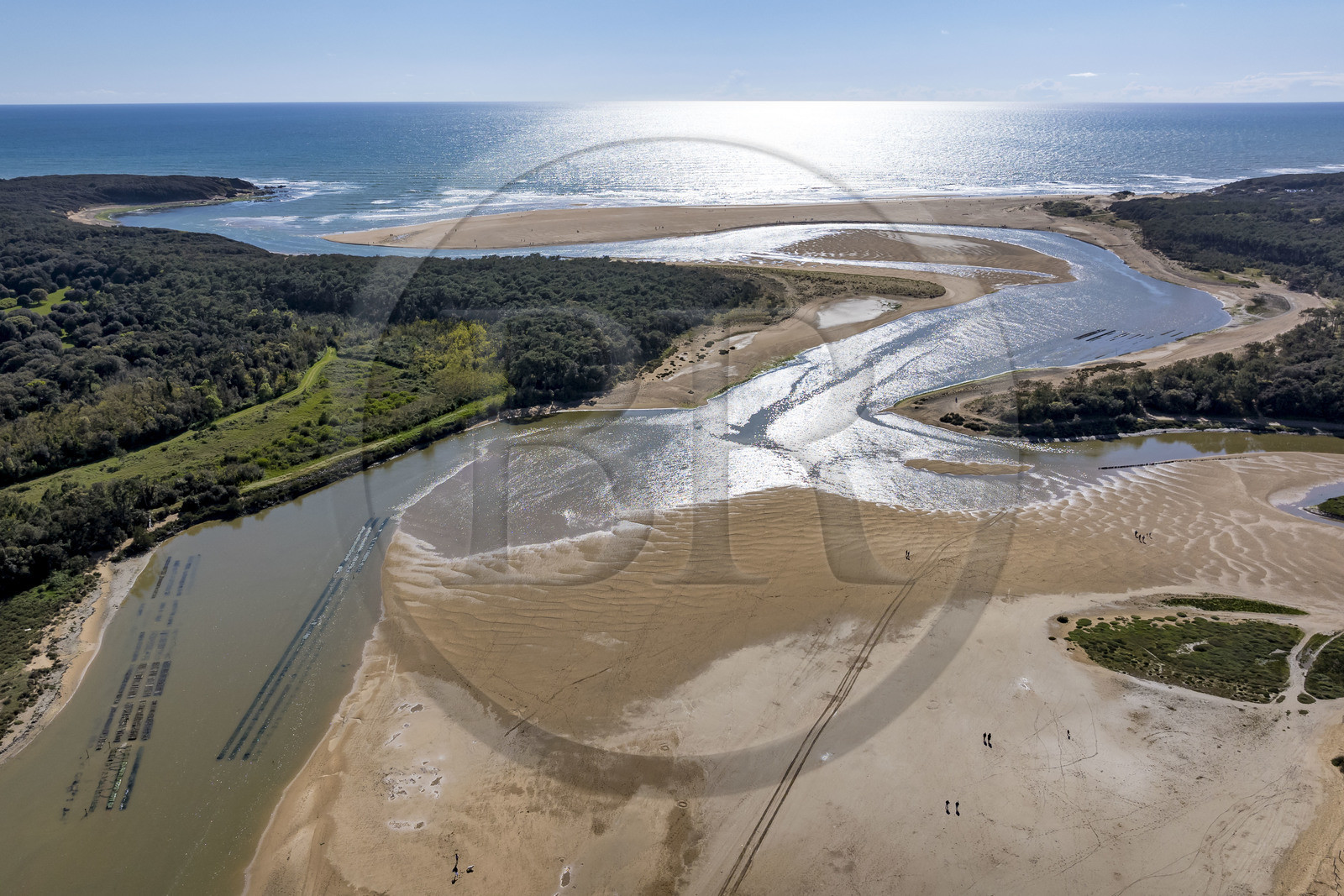 France, Vendée (85), Talmont-Saint-Hilaire, la Pointe du Payré, estuaire du Payré du village d'ostréiculteurs de la Guittière en premier plan (vue aérienne)