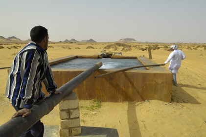 Egypte, Basse-Egypte, désert libyque, oasis de Bahariya (Bahareyya),  source d'eau chaude