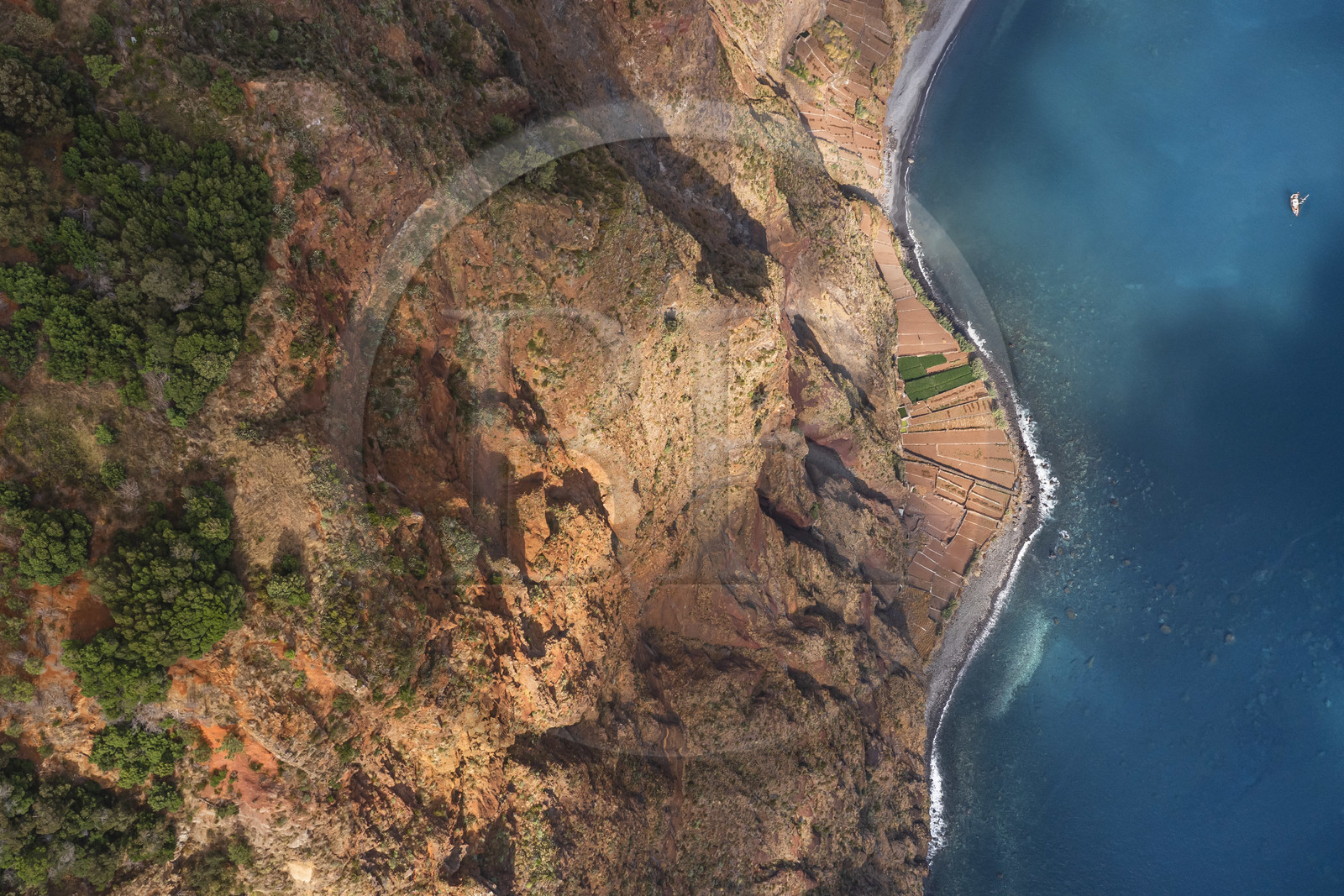 Portugal, Ile de Madère, Camara de Lobos, falaise du Cap Girao, la deuxième la plus haute du monde à 589 mètres, champs cultivés au pied de la falaise (vue aérienne)
