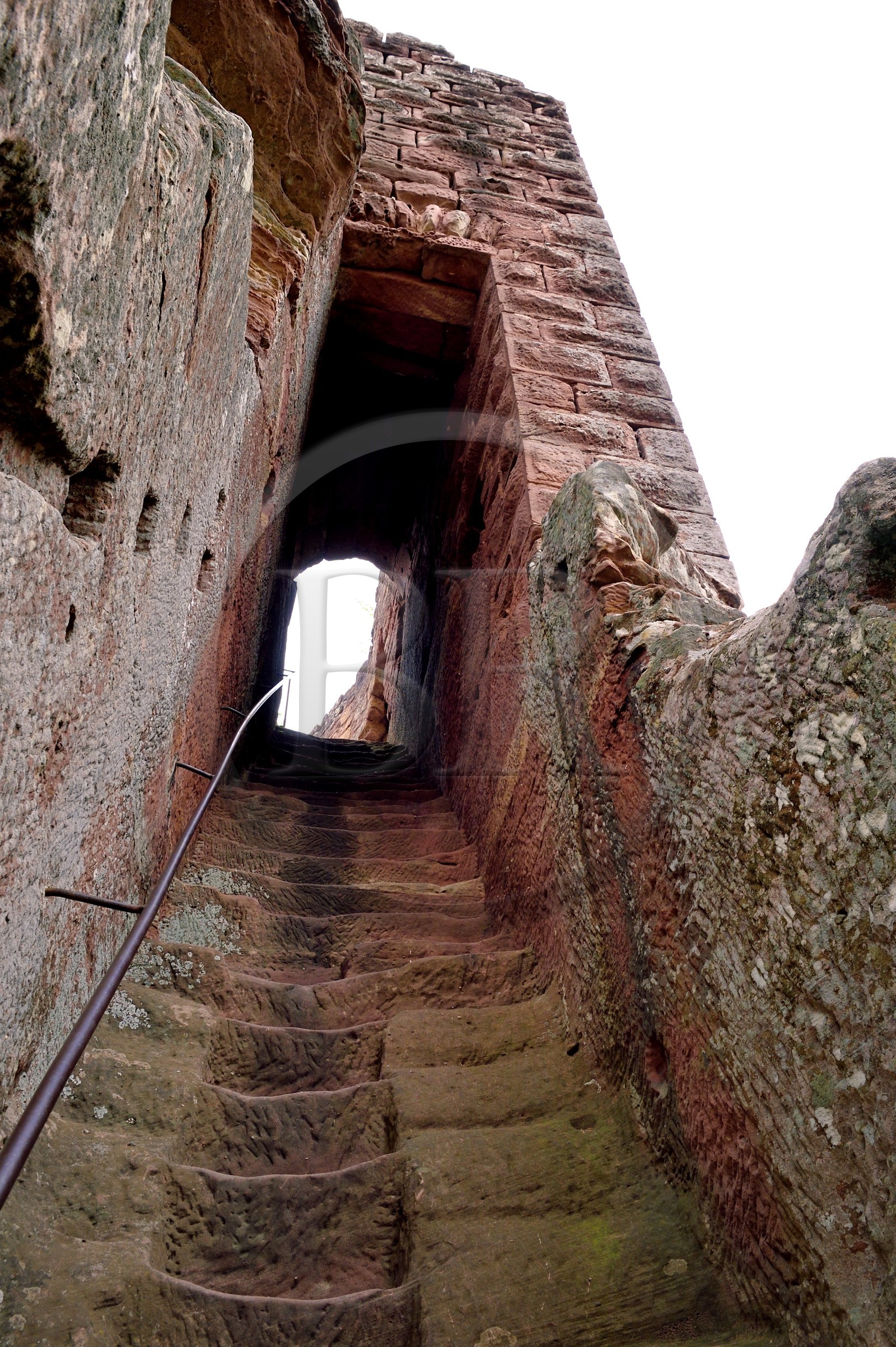 France, Bas-Rhin (67), Parc naturel régional des Vosges du Nord, Niedersteinbach, foret domaniale de Steinbach, ruines du chateau de Wasigenstein, escalier d'accès creusé à même le roc
