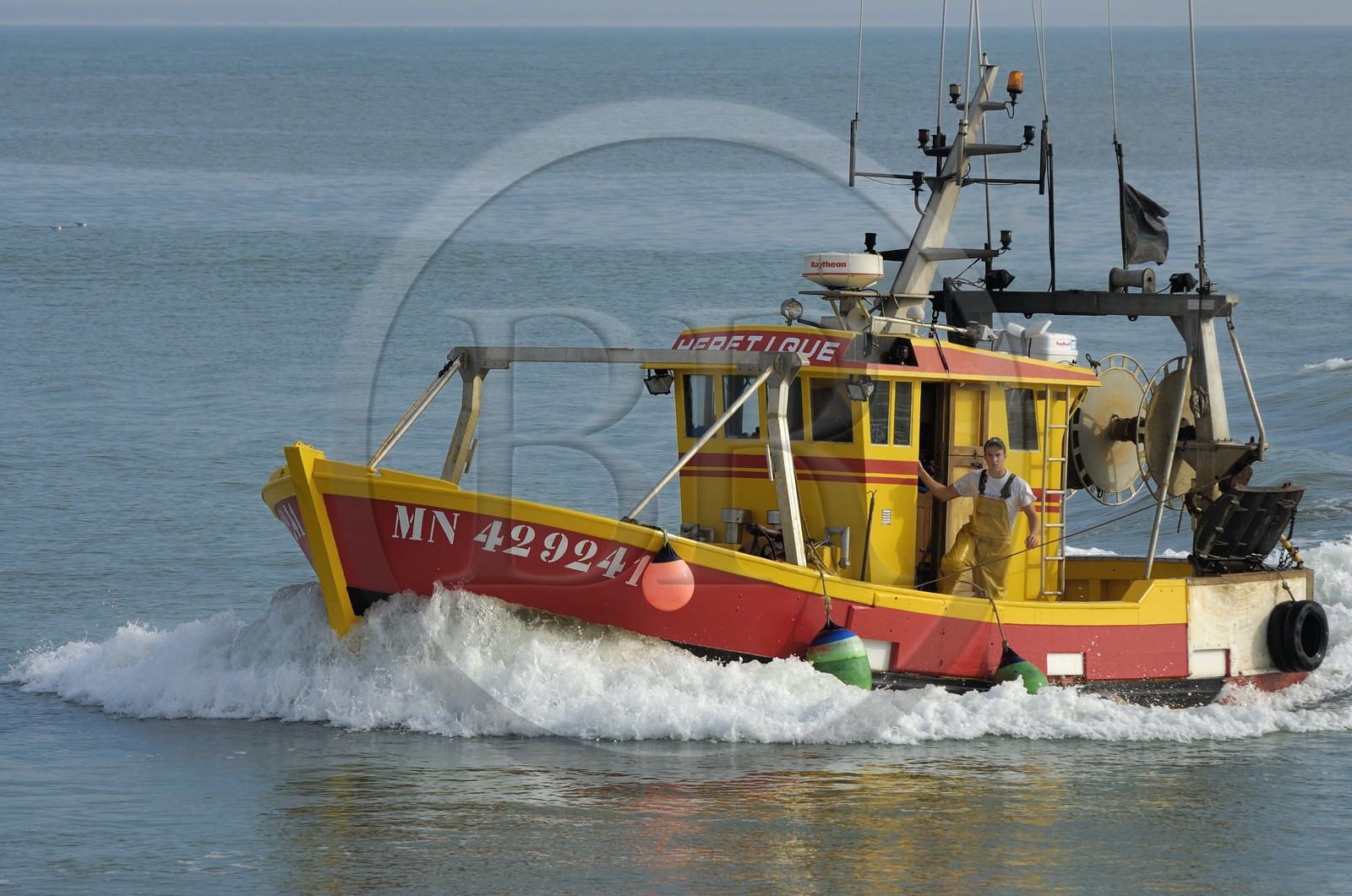 France, Charente-Maritime (17), Ile d'Oléron, retour de pêche au port de la Cotinière