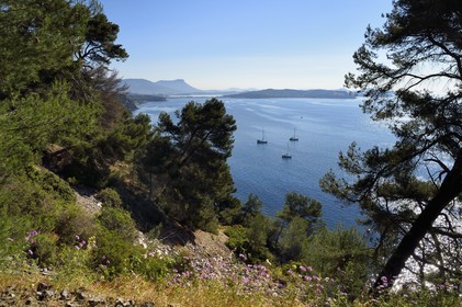 France, Var, La Seyne sur Mer, hike in the Cap Sicie massif along the Chemin du Joncquet below the Corniche Merveilleuse, the peninsula of Saint mandrier in the background