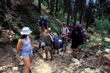 France, Hautes-Alpes (05), randonnée avec ânes sur un sentier au col des Thures au nord de Briançon