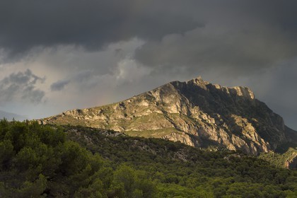 France, Bouches-du-Rhône (13), Pays d'Aix en Provence, vers le Tholonet, la Montagne Sainte Victoire, route Cézanne