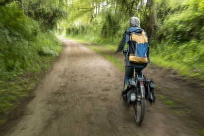 France, Vendée (85), Fontenay-le-Comte, cycliste sur la piste de la véloroute Vendée Vélo Tour aménagée sur une ancienne voie de chemin de fer