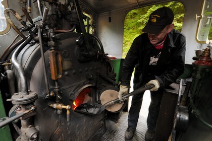France, Moselle, Abreschviller, small train formerly forest train, Locomotive 02 + 20 T Mallet N°476, built by Maschinenfabrik Heilbronn in 1906 for the network (single specimen)