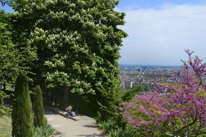 France, Rhone, Lyon, historical site listed as World Heritage by UNESCO, the Rosary Garden below Notre Dame de Fourviere basilica