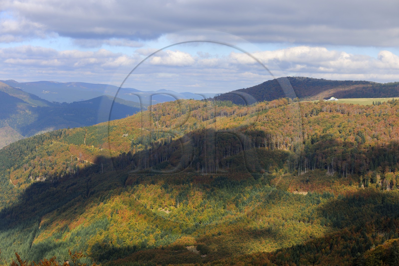 France, Haut-Rhin (68), la route des Crêtes, à la hauteur du col d'Hahnenbrunnen