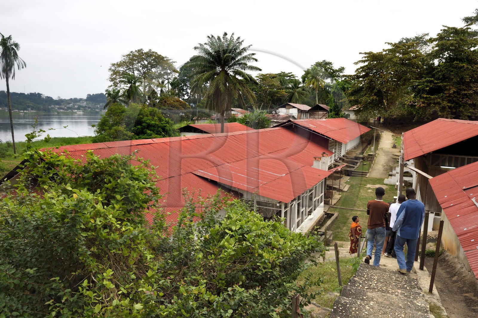 Gabon, Province du Moyen-Ogooué, Lambaréné, l'ancien Hopital Albert Schweitzer et le fleuve Ogooué, une rue de l'hopital entre la Grande Pharmacie (policlinique) et la case Bouka (case des nouveaux opérés)