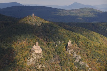 France, Haut-Rhin (68), Ribeauvillé, châteaux Saint-Ulrich, Girsberg à droite et du Haut-Ribeaupierre sur le mont (photo aérienne)