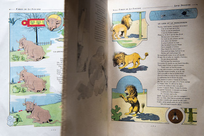 France, Aisne, Château-Thierry, Jean de La Fontaine Museum - city of Chateau-Thierry,  La Fontaine's Fables book illustrated by Benjamin Rabier, Edition Jules Tallandier, 1906, in-folio, The Frog that wished to be as big as the Ox fable III of book I and the Lion and the Midge fable IX of book II