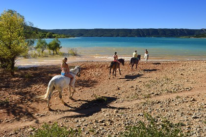 France, Var (83), Parc Naturel Régional du Verdon, lac de Sainte Croix, randonnée équestre avec Verdon Equitation