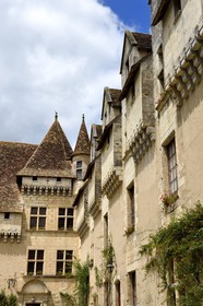 France, Dordogne, Perigord Blanc, Neuvic, Neuvic castle along the river Isle that follows the Greenway cycle route (Veloroute Voie verte)