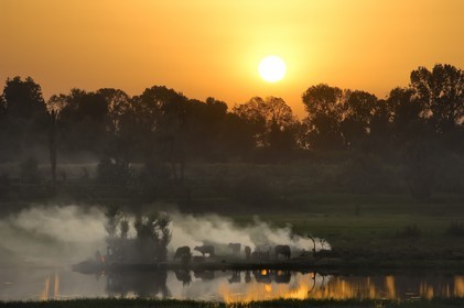 Egypt, Upper Egypt, Nile Valley, the Nile river between Luxor and Esna